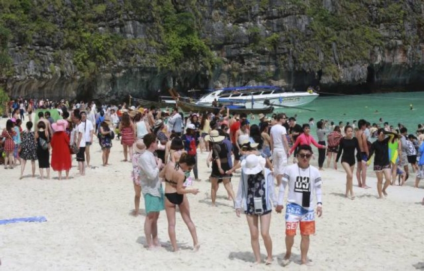 Take me back to the beach! A beautiful Thai cove made famous by the famous film starring Leonardo DiCaprio, will reopen after a three-year coral rejuvenation project Take me back to the beach! A beautiful Thai cove made famous by the famous film starring Leonardo DiCaprio, will reopen after a three-year coral rejuvenation project