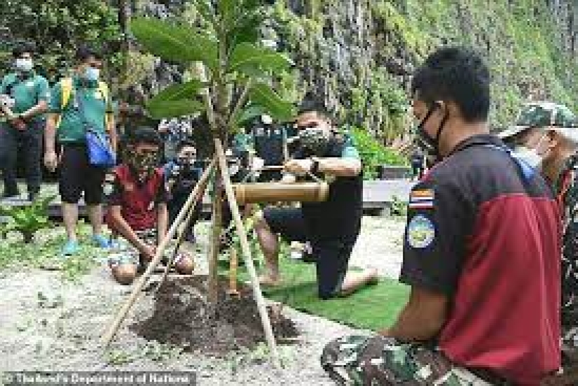Take me back to the beach! A beautiful Thai cove made famous by the famous film starring Leonardo DiCaprio, will reopen after a three-year coral rejuvenation project Take me back to the beach! A beautiful Thai cove made famous by the famous film starring Leonardo DiCaprio, will reopen after a three-year coral rejuvenation project