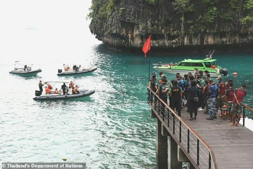 Take me back to the beach! A beautiful Thai cove made famous by the famous film starring Leonardo DiCaprio, will reopen after a three-year coral rejuvenation project Take me back to the beach! A beautiful Thai cove made famous by the famous film starring Leonardo DiCaprio, will reopen after a three-year coral rejuvenation project