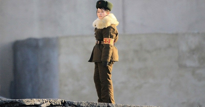 "Tap rained frogs and snakes": the testimony of women who served 9 years in the army of the DPRK