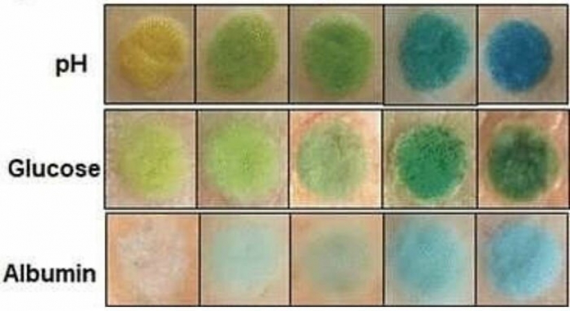 Tattoo on the guard of health: German scientists have created biosensory tattoos Tattoo on the guard of health: German scientists have created biosensory tattoos