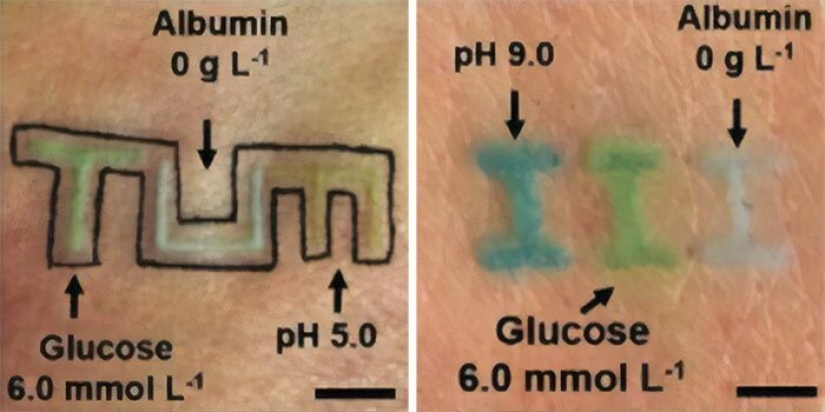 Tattoo on the guard of health: German scientists have created biosensory tattoos Tattoo on the guard of health: German scientists have created biosensory tattoos