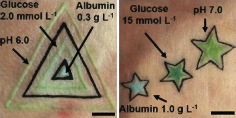 Tattoo on the guard of health: German scientists have created biosensory tattoos Tattoo on the guard of health: German scientists have created biosensory tattoos