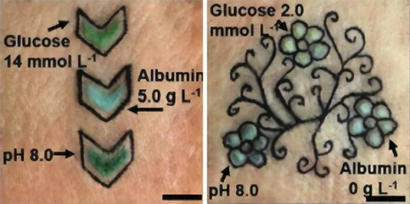 Tattoo on the guard of health: German scientists have created biosensory tattoos Tattoo on the guard of health: German scientists have created biosensory tattoos