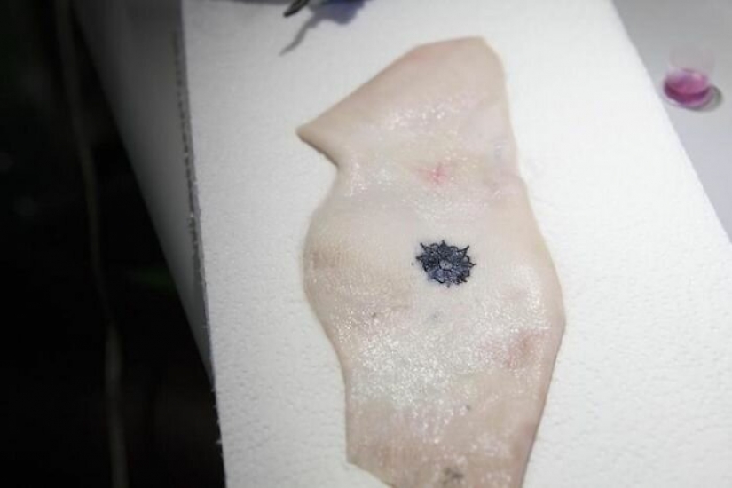 Tattoo on the guard of health: German scientists have created biosensory tattoos Tattoo on the guard of health: German scientists have created biosensory tattoos