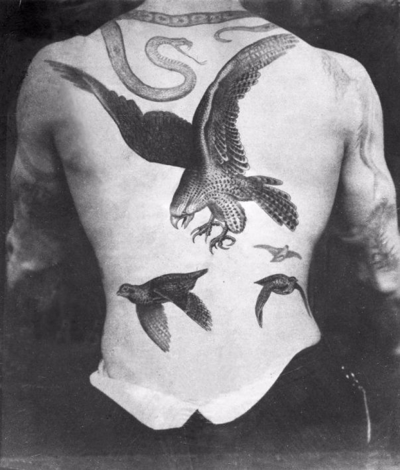 Tatuajes de lujo de la época victoriana: querubines, dragones y escudos de armas Tatuajes de lujo de la época victoriana: querubines, dragones y escudos de armas