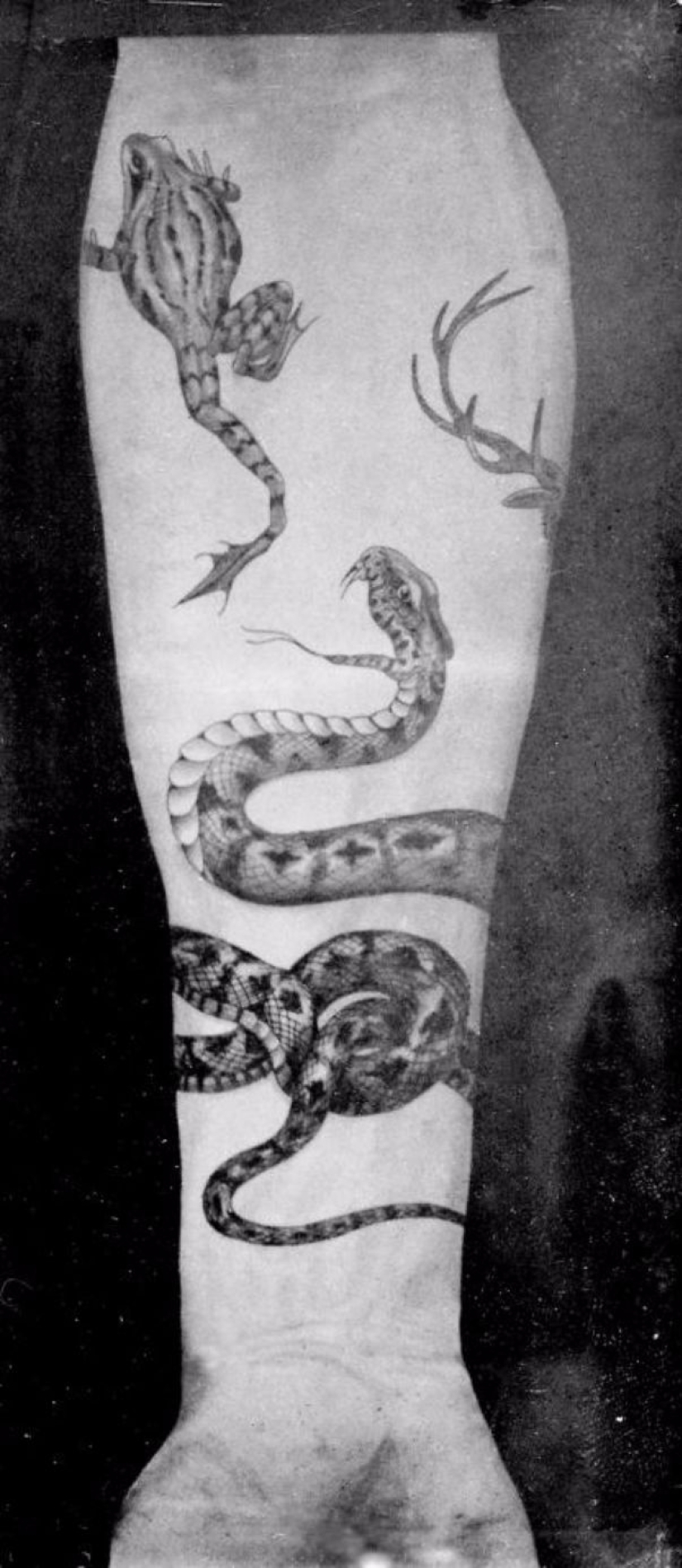 Tatuajes de lujo de la época victoriana: querubines, dragones y escudos de armas Tatuajes de lujo de la época victoriana: querubines, dragones y escudos de armas