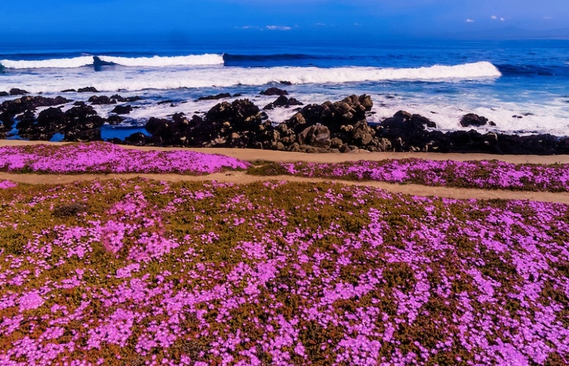 The 10 best hiking routes in the world along the coast