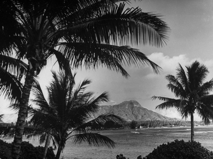 The Annexed Paradise: The Life and death of the last Princess of the Hawaiian Kingdom