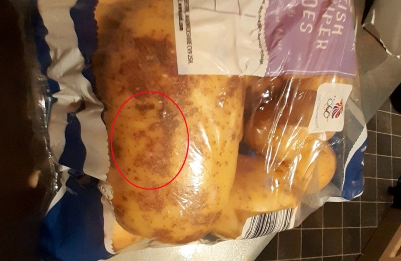 The appearance of Christ to the people: the users of social networks share photos of the face of Jesus in everyday objects