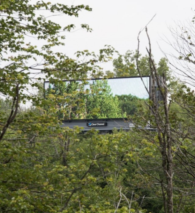 The artist bought a huge billboard to show the beauty of nature The artist bought a huge billboard to show the beauty of nature