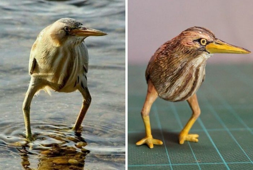 The artist creates figures of animals on the funny Internet meme