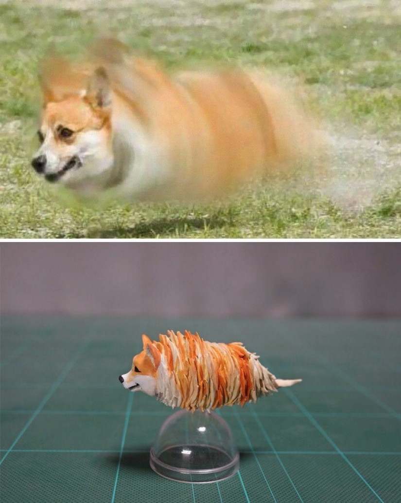 The artist creates figures of animals on the funny Internet meme