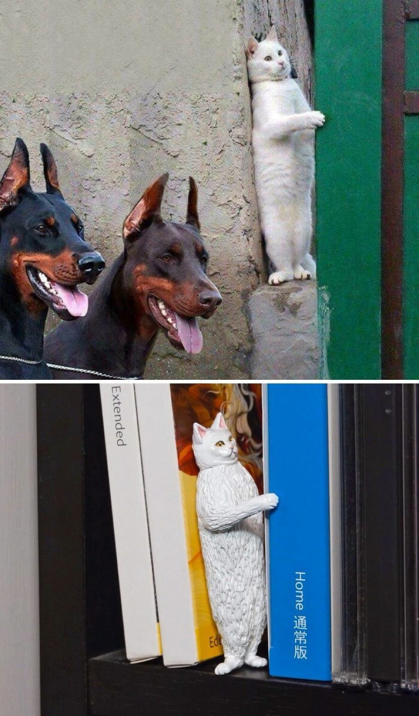 The artist creates figures of animals on the funny Internet meme