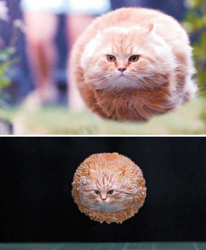 The artist creates figures of animals on the funny Internet meme