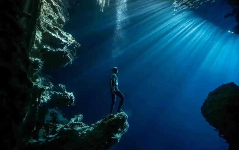 The beauty and power of the ocean in the photos of the winners of the Ocean Photography Awards 2020