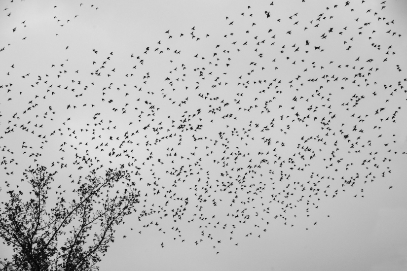 The best photos from the monochrome photography contest MonoVisions Photography Awards 2021 The best photos from the monochrome photography contest MonoVisions Photography Awards 2021