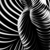 The best photos from the monochrome photography contest MonoVisions Photography Awards 2021