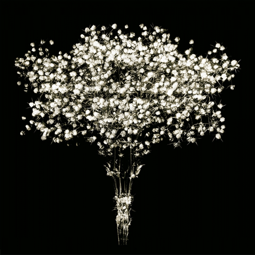 The best photos from the monochrome photography contest MonoVisions Photography Awards 2021 The best photos from the monochrome photography contest MonoVisions Photography Awards 2021