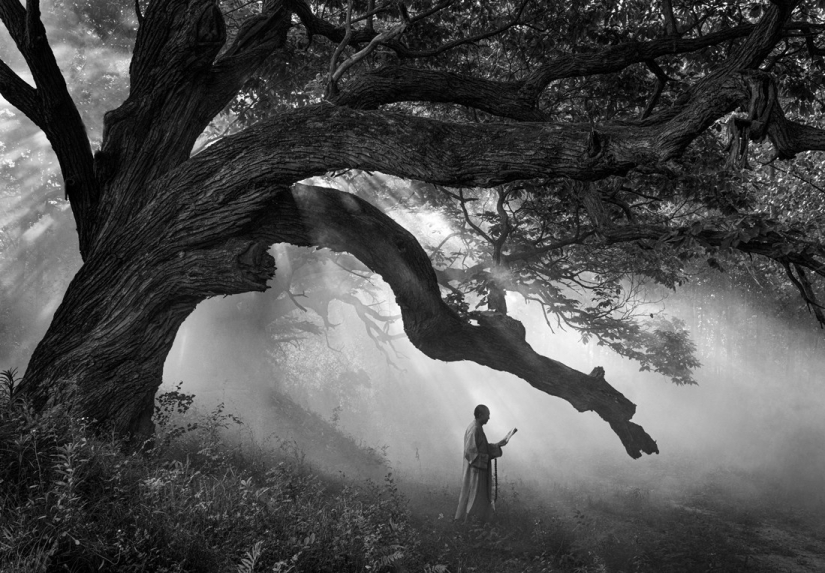 The best photos from the monochrome photography contest MonoVisions Photography Awards 2021 The best photos from the monochrome photography contest MonoVisions Photography Awards 2021