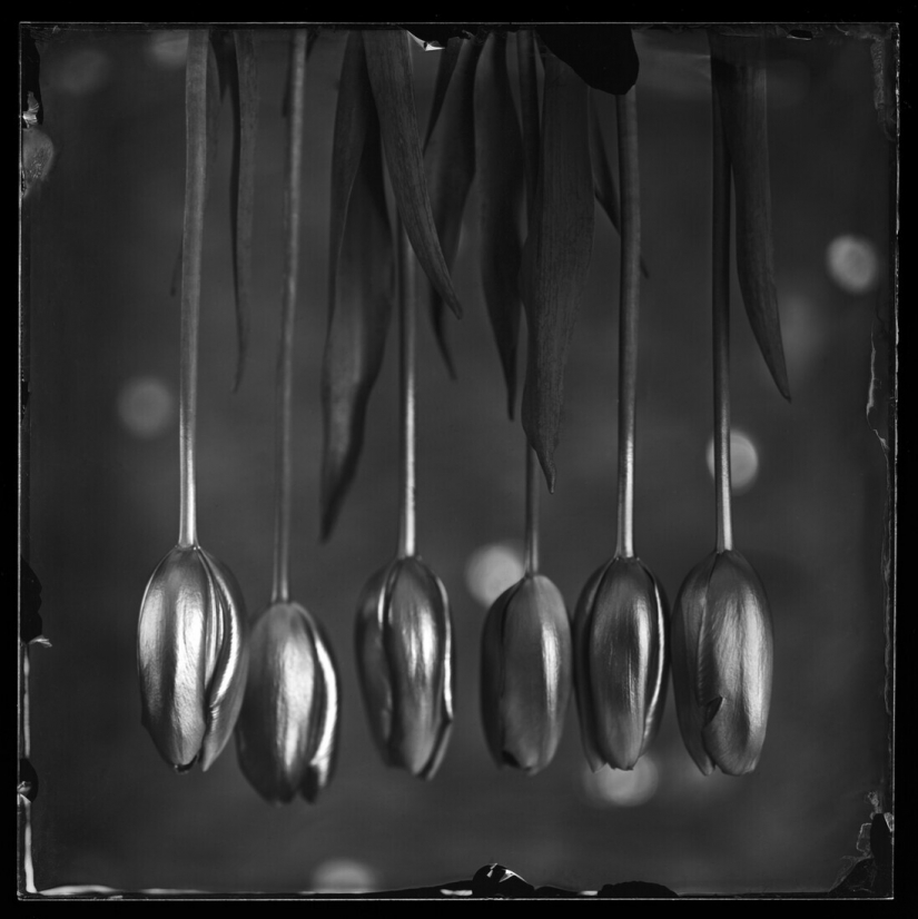 The best photos from the monochrome photography contest MonoVisions Photography Awards 2021 The best photos from the monochrome photography contest MonoVisions Photography Awards 2021