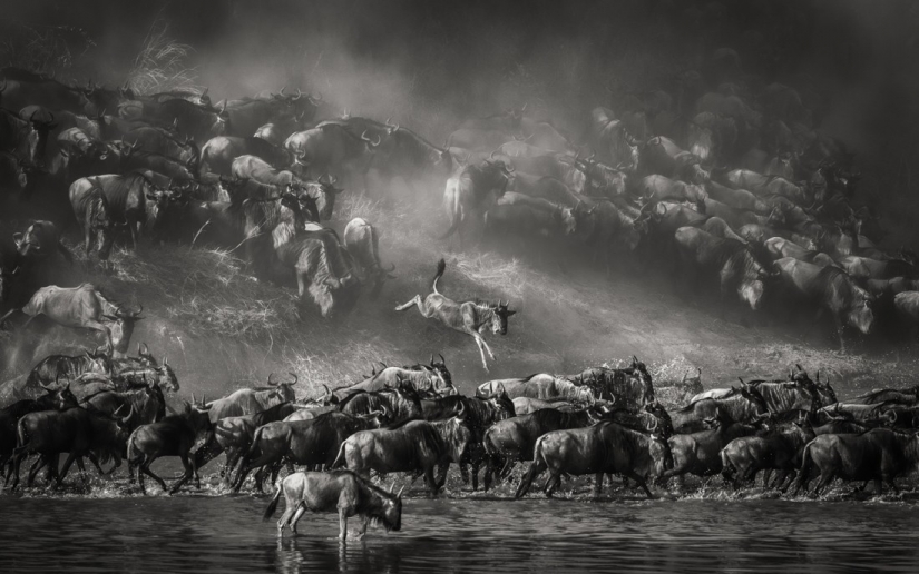 The best photos from the monochrome photography contest MonoVisions Photography Awards 2021 The best photos from the monochrome photography contest MonoVisions Photography Awards 2021