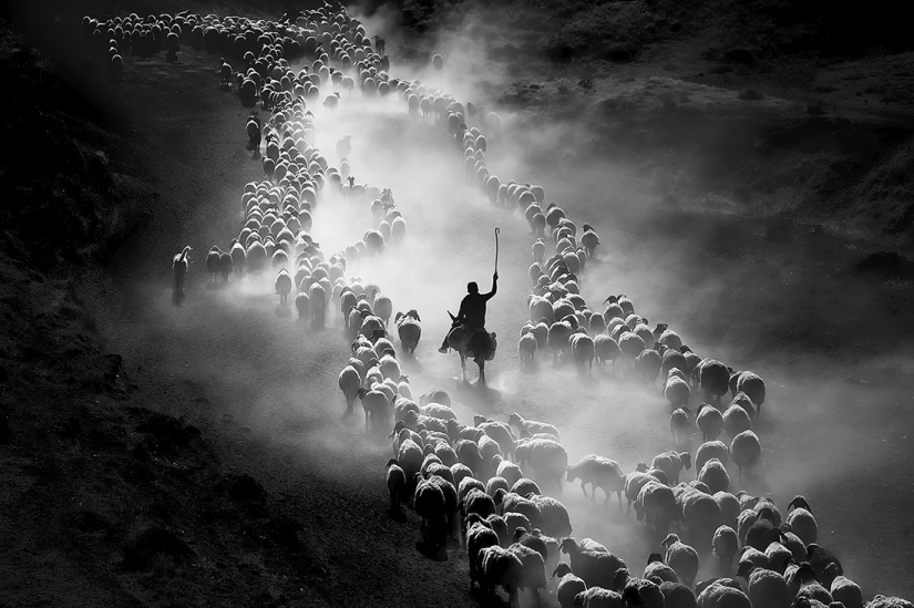 The best photos from the monochrome photography contest MonoVisions Photography Awards 2021 The best photos from the monochrome photography contest MonoVisions Photography Awards 2021