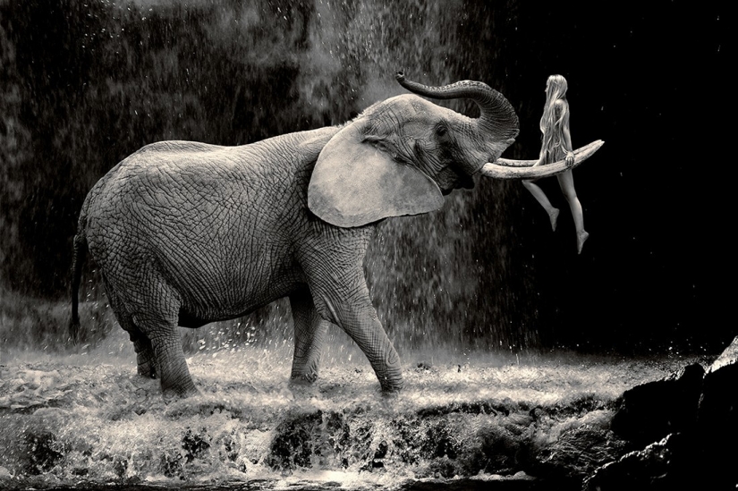 The best photos from the monochrome photography contest MonoVisions Photography Awards 2021 The best photos from the monochrome photography contest MonoVisions Photography Awards 2021