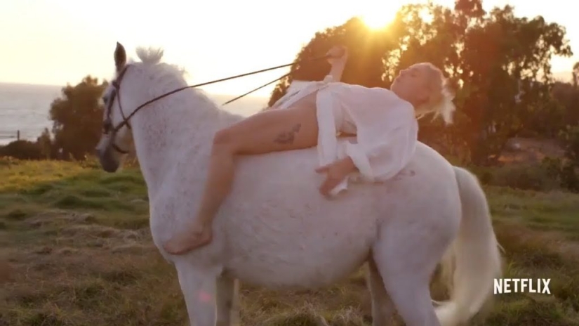 The best pop music documentaries The best pop music documentaries