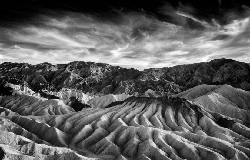 The best works of infrared photography contest Life in Another Light