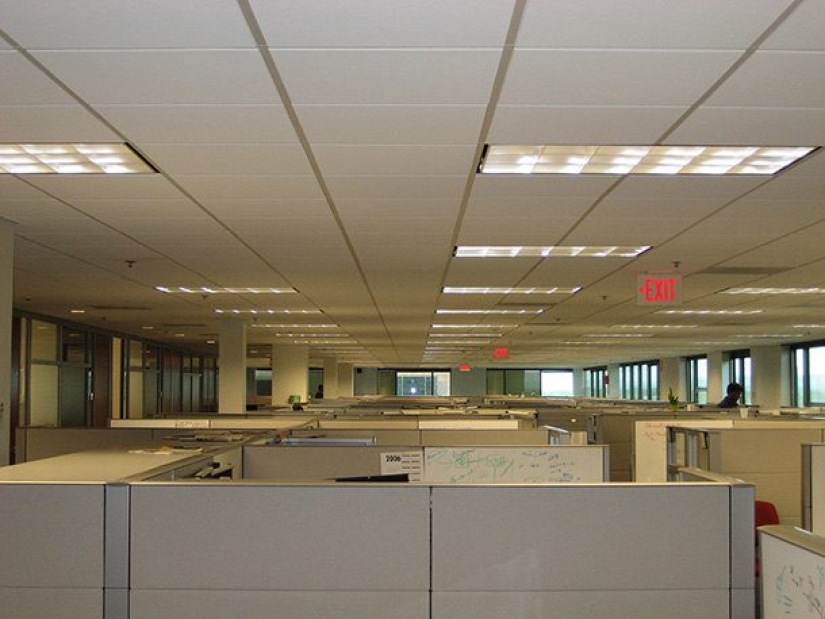 The Biggest Pros and Cons of Living in America The Biggest Pros and Cons of Living in America