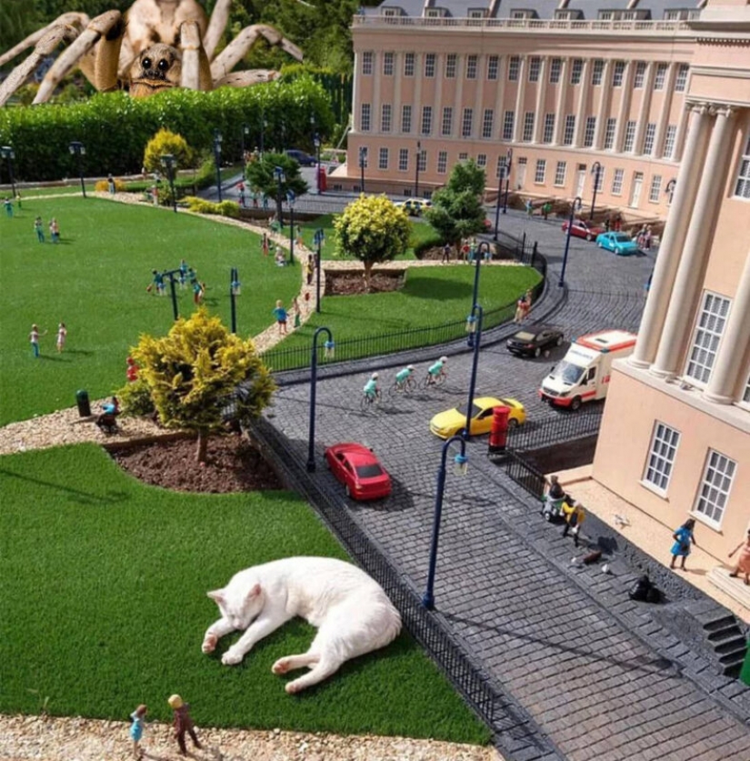 The cat fell asleep at the miniature exhibition and woke up with a network meme