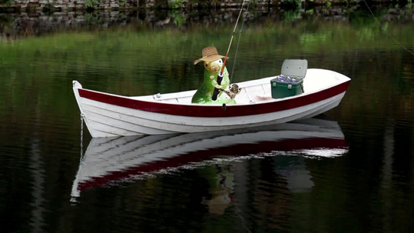 The caterpillar has become an internet star