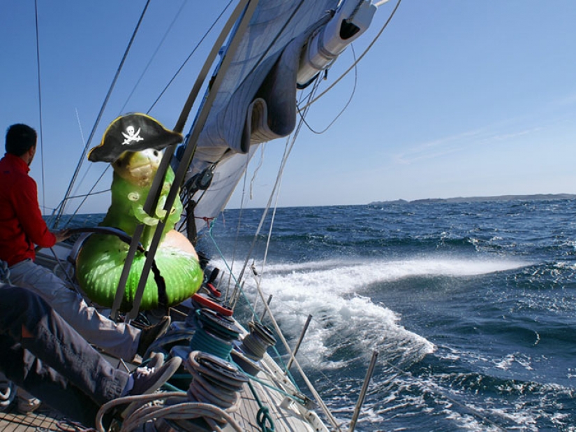 The caterpillar has become an internet star