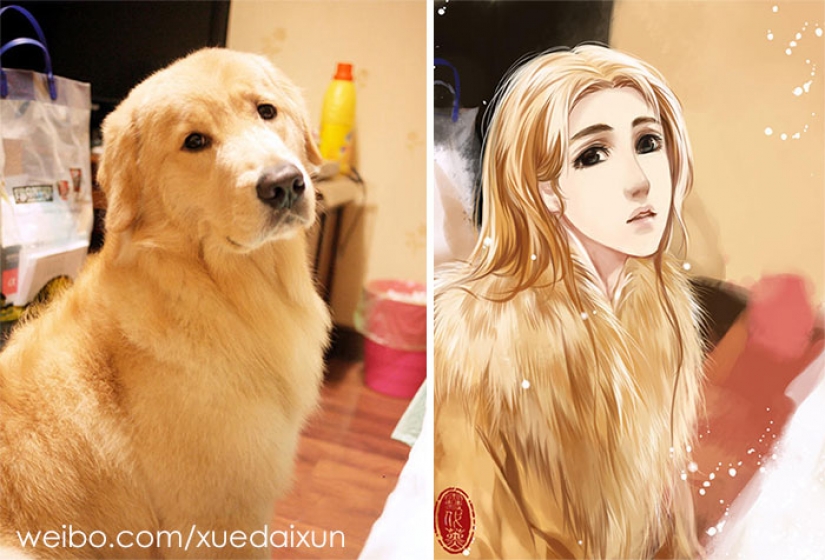 The Chinese artist turns cats and other animals in people, and it's incredibly The Chinese artist turns cats and other animals in people, and it's incredibly