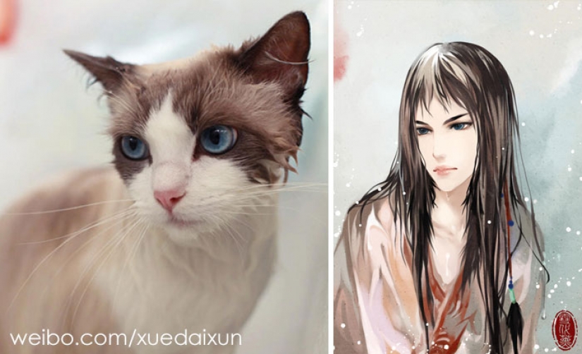 The Chinese artist turns cats and other animals in people, and it's incredibly The Chinese artist turns cats and other animals in people, and it's incredibly