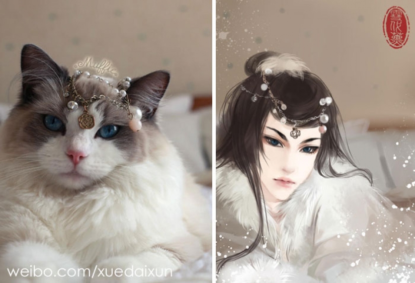 The Chinese artist turns cats and other animals in people, and it's incredibly The Chinese artist turns cats and other animals in people, and it's incredibly