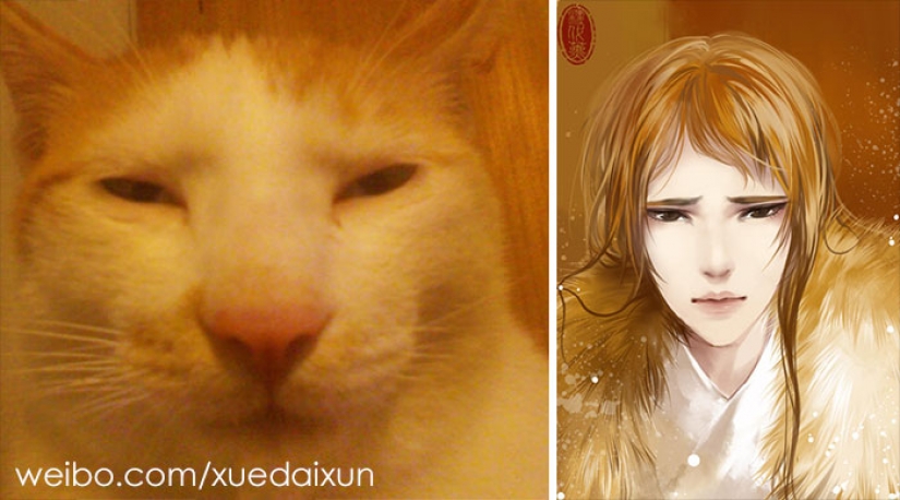The Chinese artist turns cats and other animals in people, and it's incredibly The Chinese artist turns cats and other animals in people, and it's incredibly