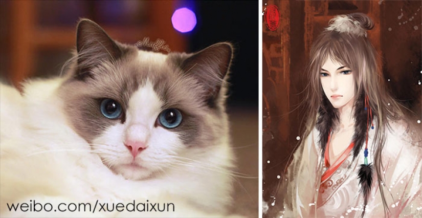 The Chinese artist turns cats and other animals in people, and it's incredibly The Chinese artist turns cats and other animals in people, and it's incredibly