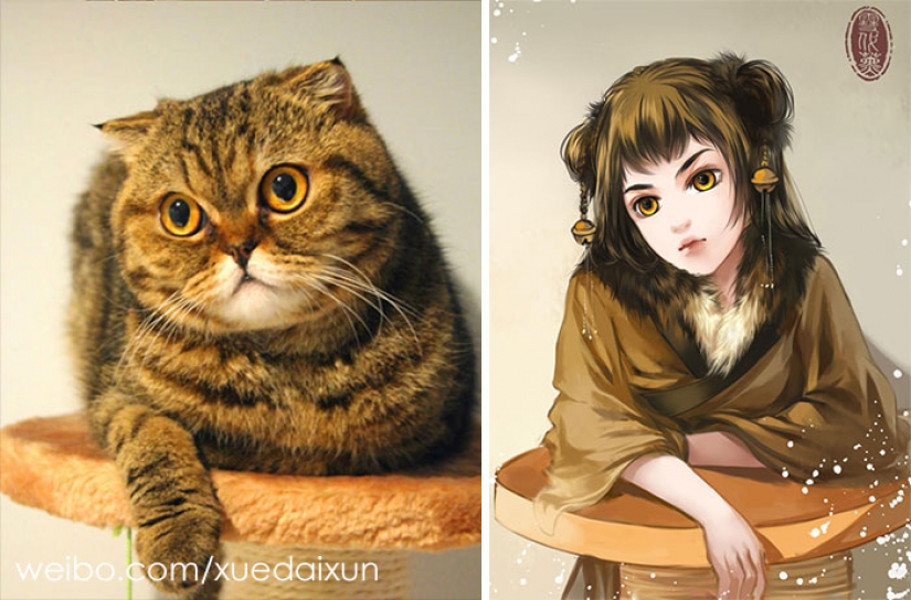 The Chinese artist turns cats and other animals in people, and it's incredibly The Chinese artist turns cats and other animals in people, and it's incredibly