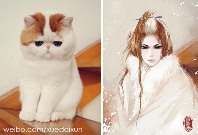 The Chinese artist turns cats and other animals in people, and it's incredibly The Chinese artist turns cats and other animals in people, and it's incredibly