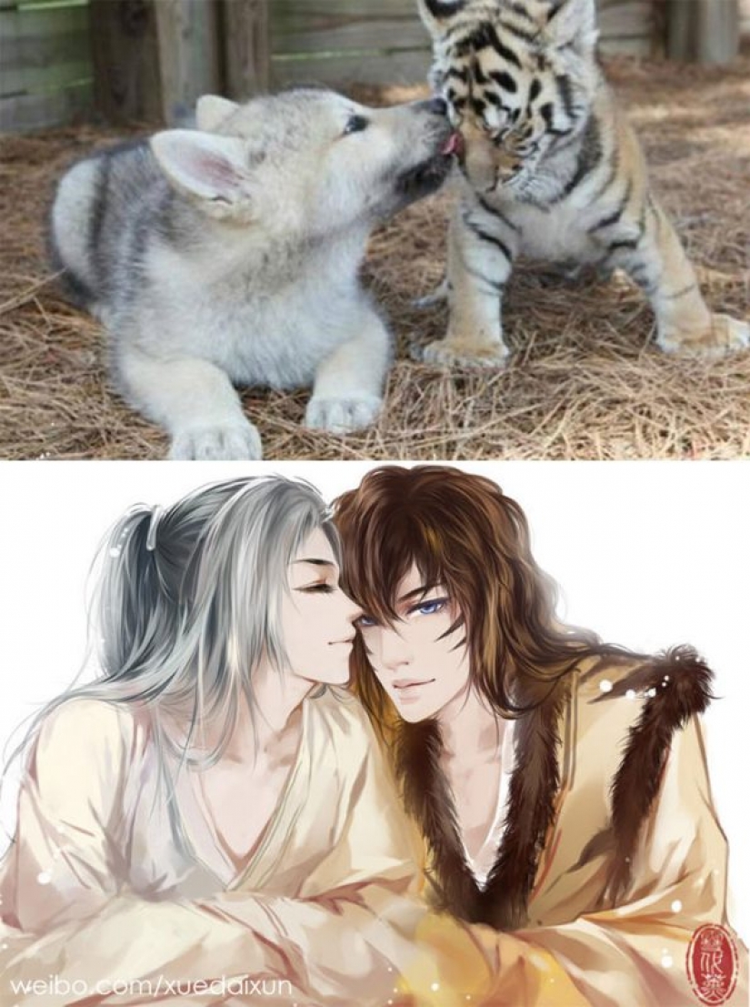 The Chinese artist turns cats and other animals in people, and it's incredibly The Chinese artist turns cats and other animals in people, and it's incredibly