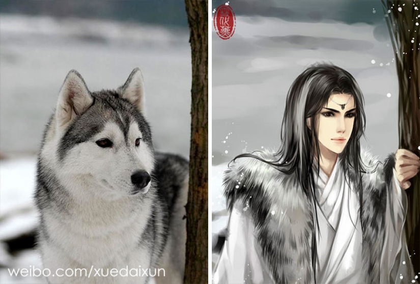 The Chinese artist turns cats and other animals in people, and it's incredibly The Chinese artist turns cats and other animals in people, and it's incredibly