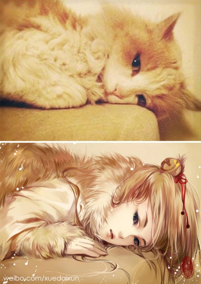 The Chinese artist turns cats and other animals in people, and it's incredibly The Chinese artist turns cats and other animals in people, and it's incredibly