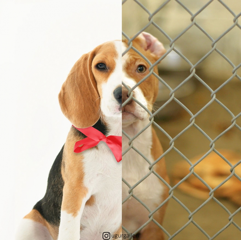 The contrast between the two worlds we live in The contrast between the two worlds we live in