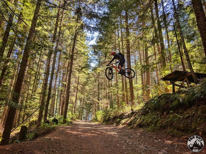 The couple exchanged a measured life in a never-ending journey