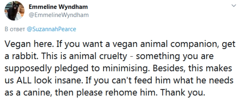 The eco-activist boasted of a vegan dog and caused a storm of indignation on the web