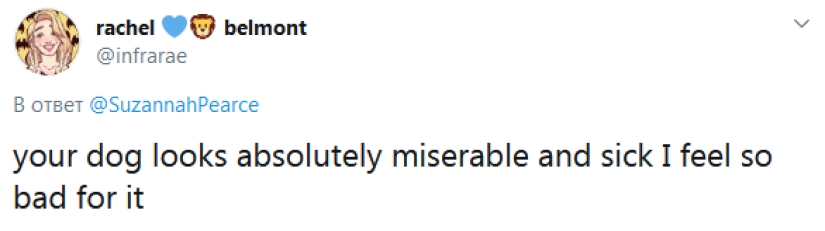 The eco-activist boasted of a vegan dog and caused a storm of indignation on the web