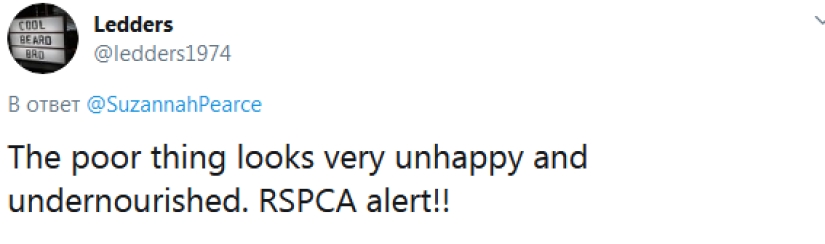 The eco-activist boasted of a vegan dog and caused a storm of indignation on the web