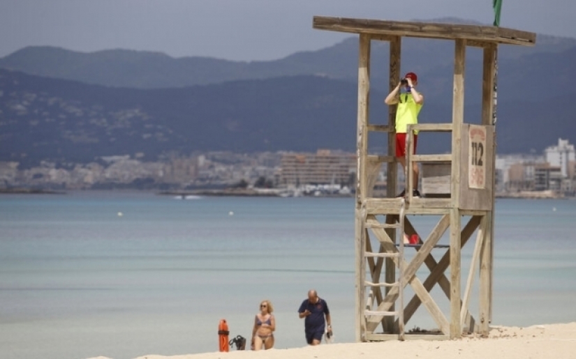 The fraudster faked her death, but she was given away by a black poodle The fraudster faked her death, but she was given away by a black poodle